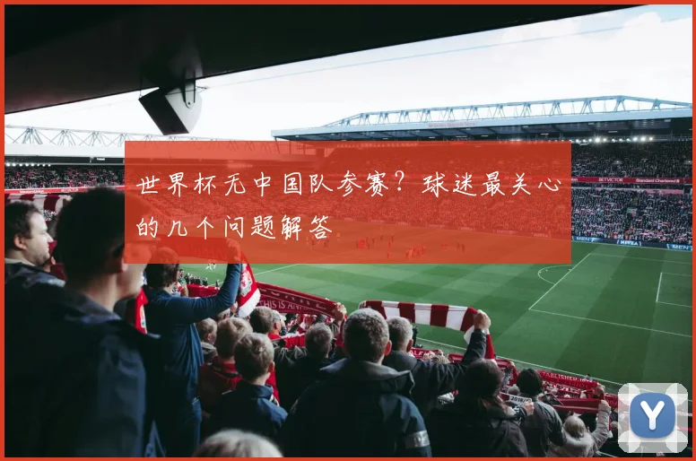 世界杯无中国队参赛？球迷最关心的几个问题解答