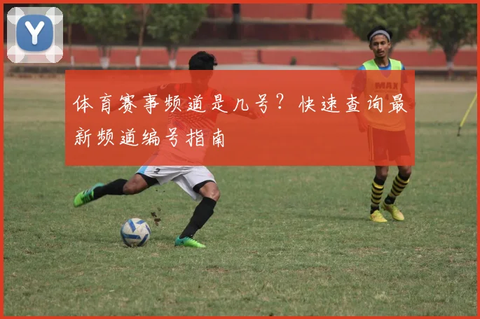 体育赛事频道是几号？快速查询最新频道编号指南